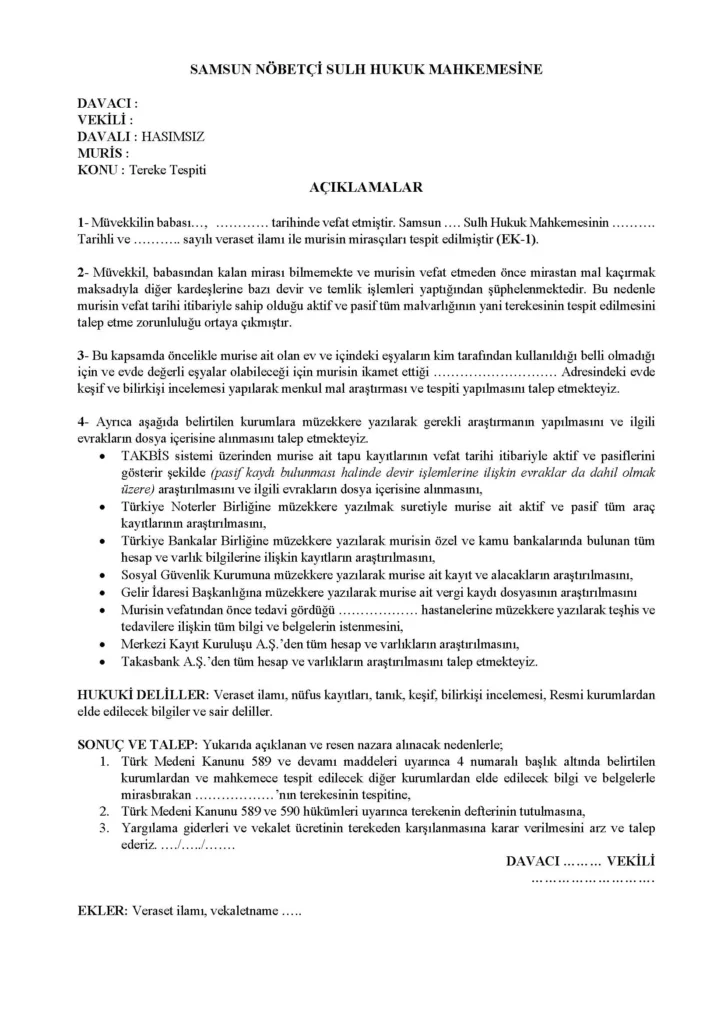 terekenin-tespiti-davasi-dilekce-ornegi-onizleme-webp