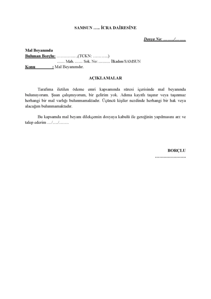 mal-varligi-olmayan-icin-mal-beyani-dilekce-ornegi